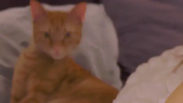 XXX chat uživo modela lexira1n