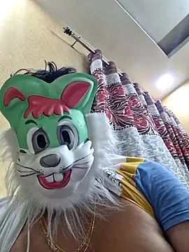 SingleTest Webcam-Show