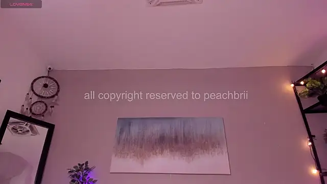 PechBri élő XXX-chatje