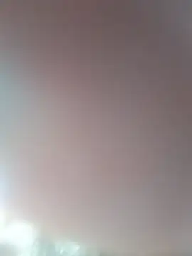 catnox Webcam Show