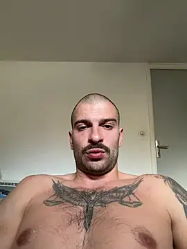 Show webcam de Greyoff