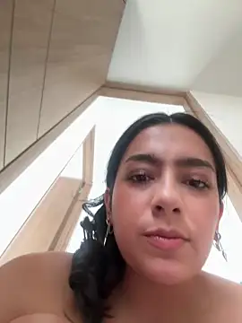 Nicollemaysn Webbikameraesitys