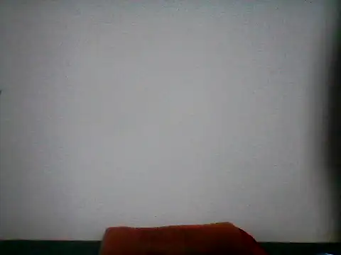 Show de webcam de stallony