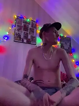Show webcam de Donaldduck0069