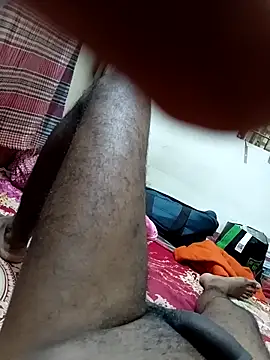 Dasdhon 웹캠 쇼
