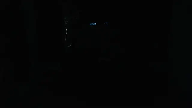 PhillipCox Live XXX-chat