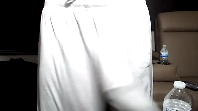 Show Webcam de ThickD2C