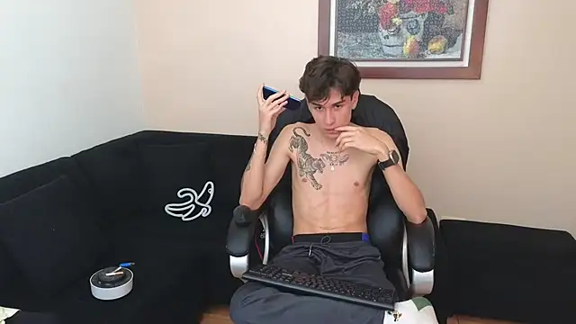 Derekswann Webbikameraesitys