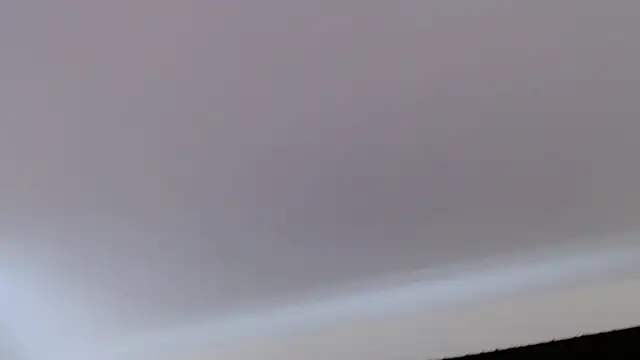 Show Webcam de florida0217