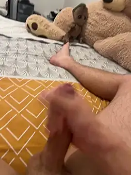MaaxOu18n Webbikameraesitys