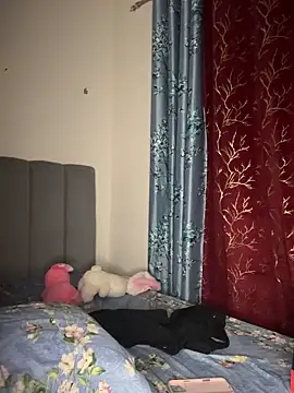 Virgin_Aisha Adlı Modelin Canlı XXX Sohbeti