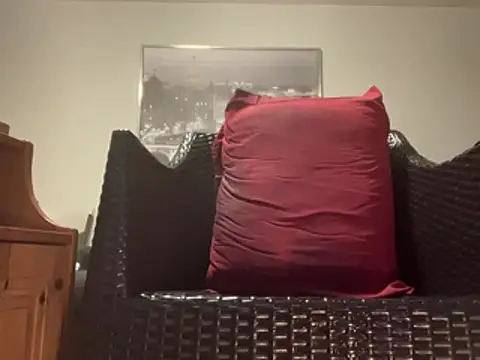 Tyyson03n Webbikameraesitys
