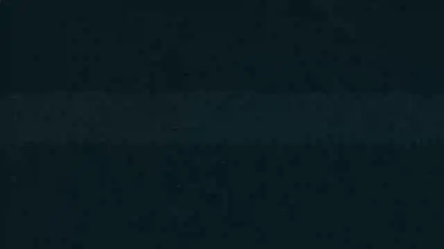 LeeCox webkamerás műsora