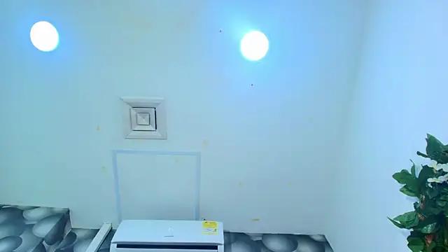 Chat ao vivo de lil_miia