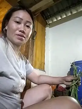 tttmai 网络视讯表演