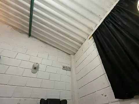 Max_TheHorseDick 웹캠 쇼
