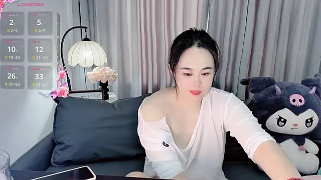 i4Fog Webcam-Show