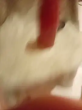عرض كام mrlolimirass