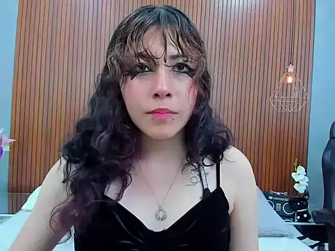 Cybercore_Shyn Webbikameraesitys