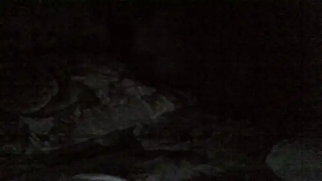 SQUIRRRTER Show Webcam