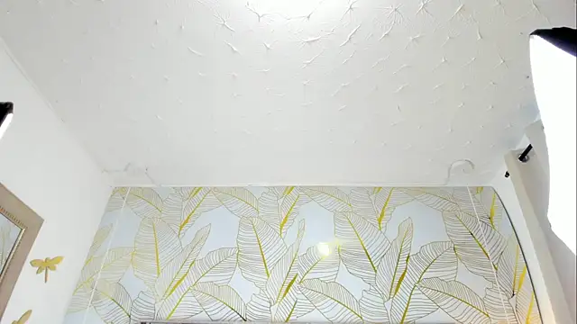Alison_Chan_ Webcam-Show