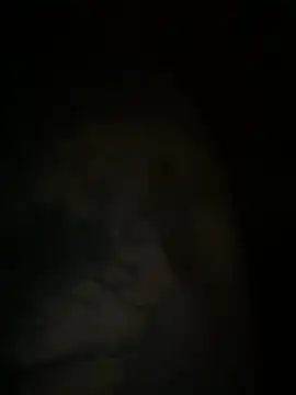 tato15152 élő XXX-chatje