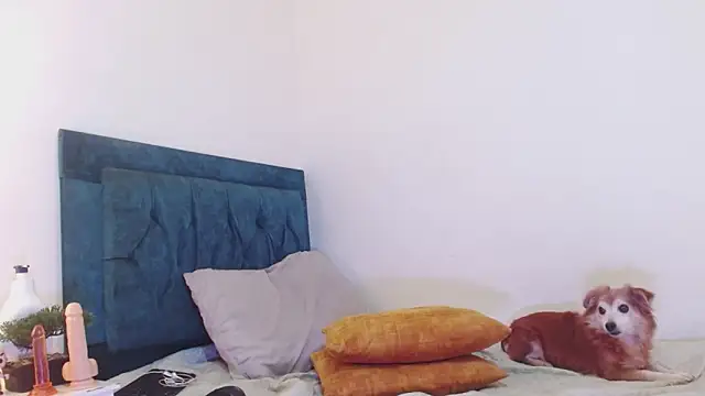 cedrixx10 Webcam-Show