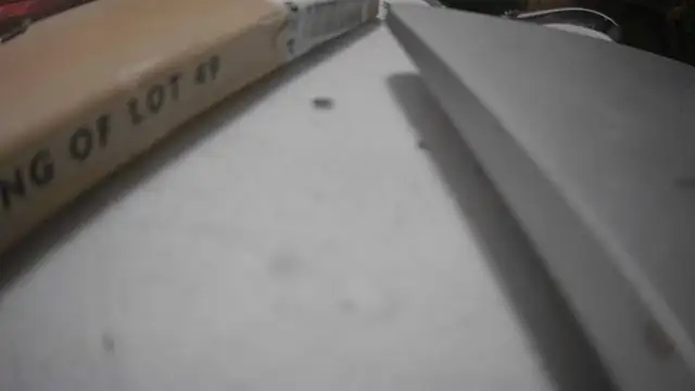 Show webcam de CaptThickEdgerton