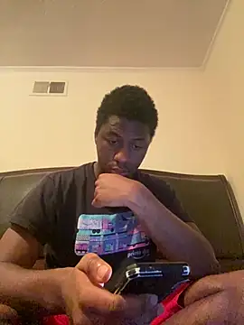 ThickDic28 Show Webcam