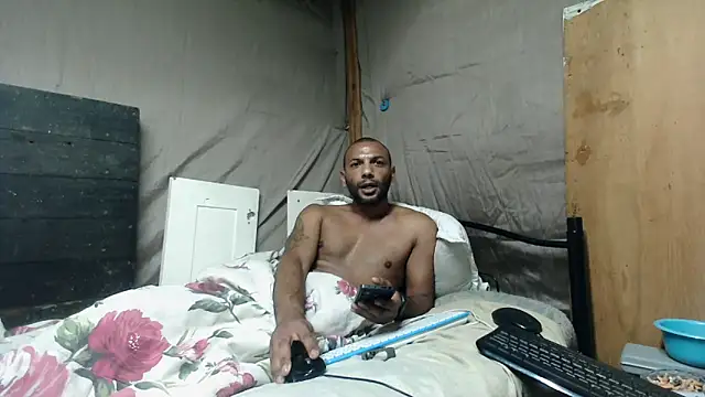 Camodick Show in webcam