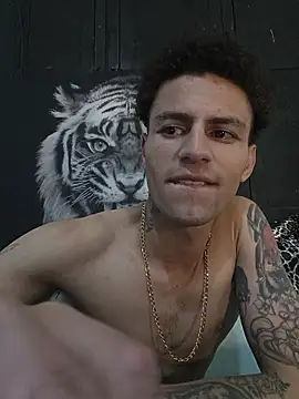 Show modela dany_hardy na web-kameri