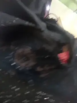 Aafreen_36 Adlı Modelin Canlı XXX Sohbeti