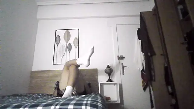 99_GANArn Webbikameraesitys