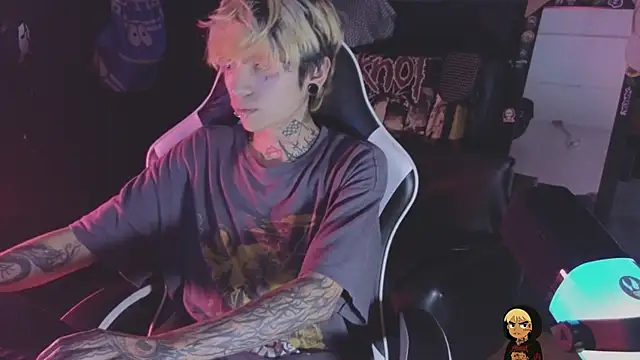 AcidMiloのウェブカメラショー