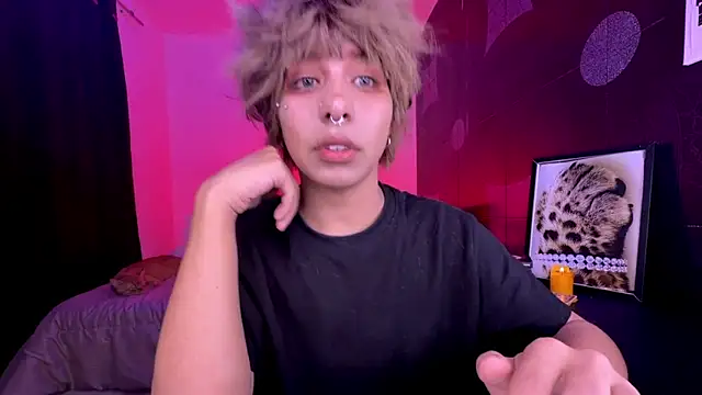Aronn_44n Webbikameraesitys