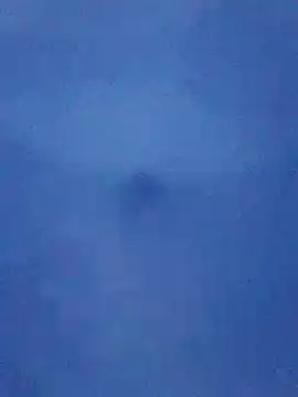 tarra122 现场XXX聊天