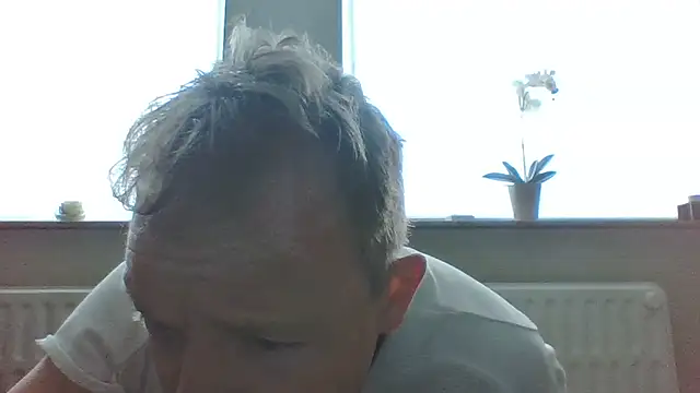 bertolini Show Webcam