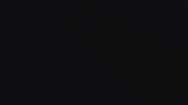 Show Webcam de CaptThickEdgerton