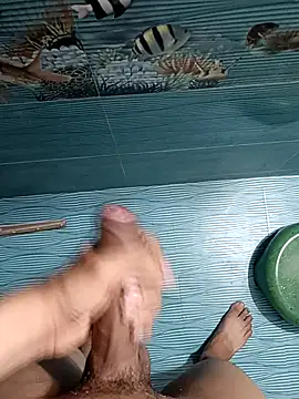 Desi_lund10 网络视讯表演