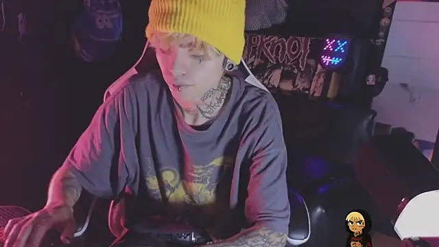 Show de AcidMilo na webcam