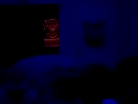 Blkstylion webcam show