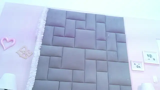 Maax_Hotn Webbikameraesitys