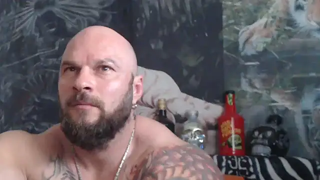 viking_30 লাইভ XXX চ্যাট