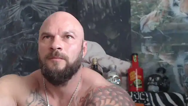 viking_30 Webcamshow