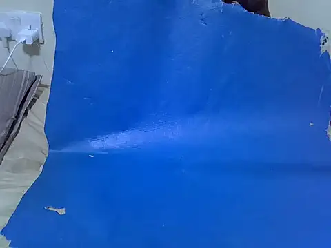 Twerl 即時 XXX 聊天