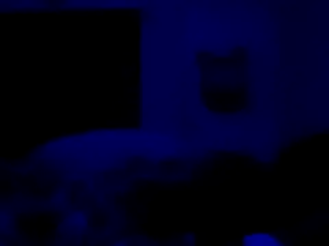 Blkstylion's Webcam Show
