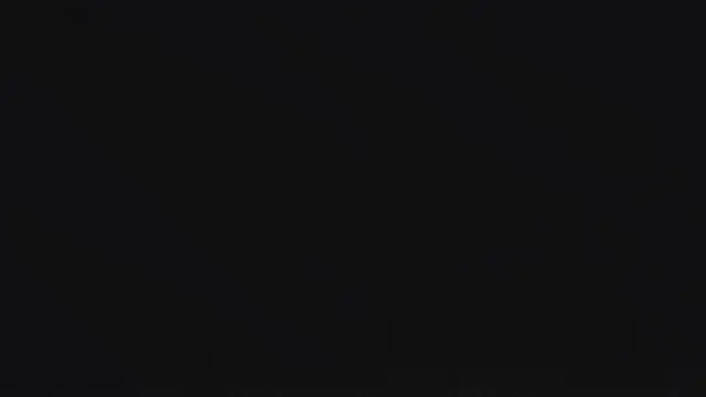 Show Webcam de CaptThickEdgerton