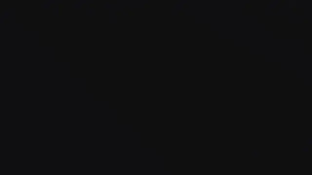 Show Webcam de CaptThickEdgerton
