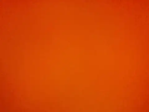 jordi99Fog Webcam-Show