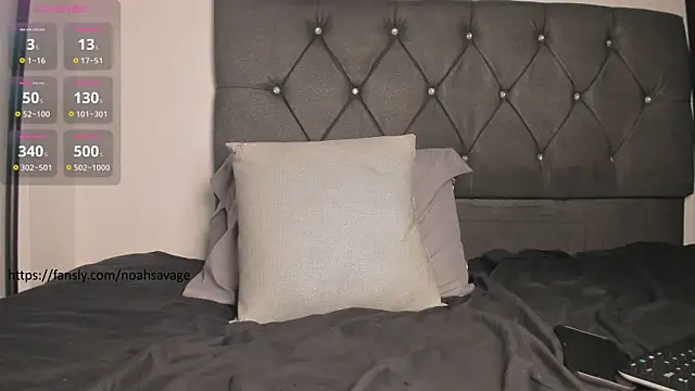 noah_johes' Webcam Show